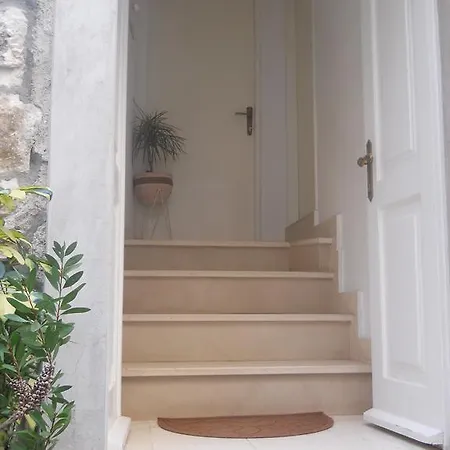 Ada Novak חוואר