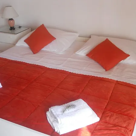 Ada Novak חוואר