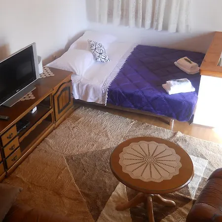 Ada Novak חוואר